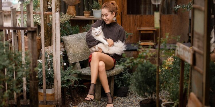 Top Medium-Sized Apartment Cats: The Perfect Pets for Urban Living